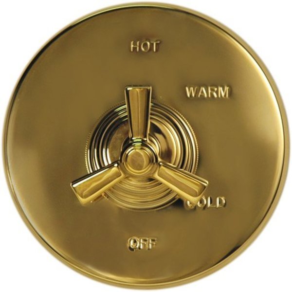 Newport Brass Handle Cap For 2510-5103 in Polished Brass Uncoated (Living) 11715/03N